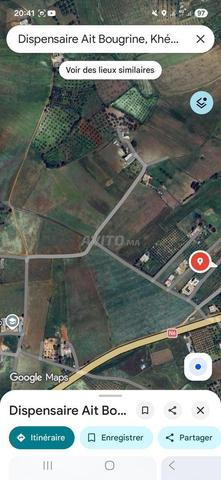 Terrain 2 hectare plus parcelle oliviers - 2