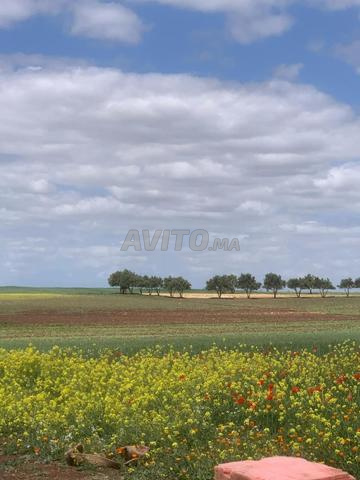 Terrain agricole familial - 2