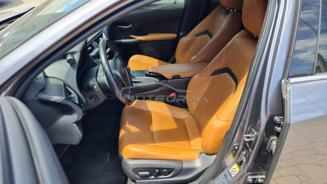 Lexus UX hybride ttes options