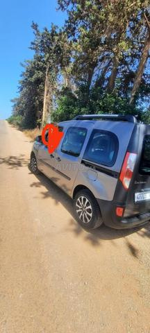 كانغو بقرة
