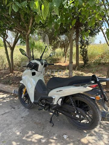 Moto 2026