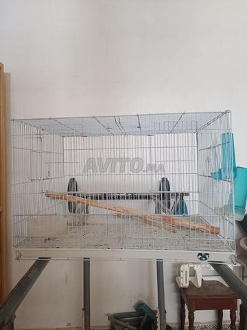 Cage à oiseaux séparation - 2