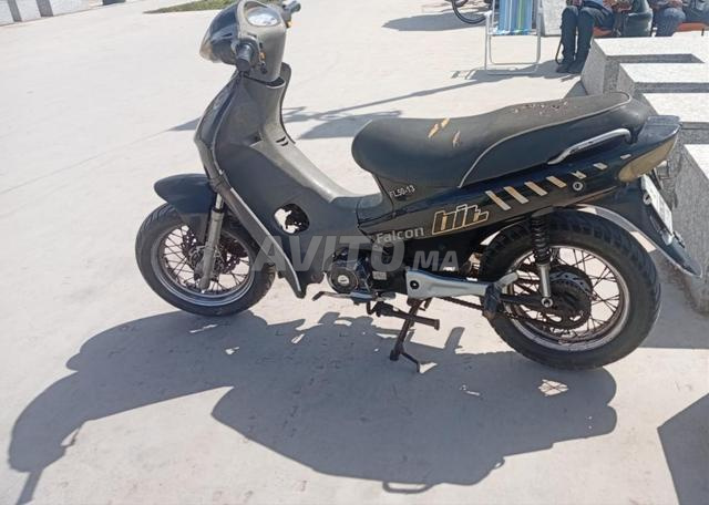 Moto Falcon (toba) en vente - 2