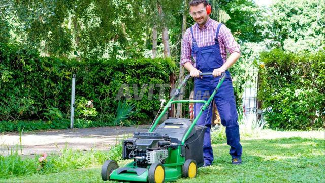 Jardinier gardien cherche travail - 2
