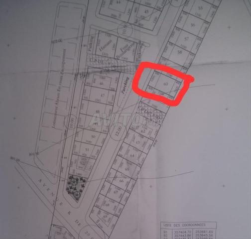 Votre villa pour seulement 3000 dh par m² - 2