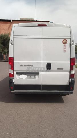 Fiat Ducato 2020