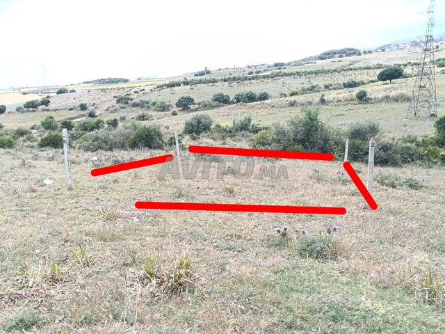 عين بلوط طنجة - 2