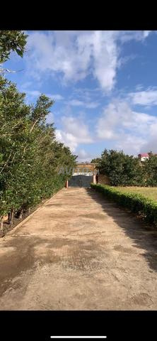 À VENDRE — FERME TITRÉE À OULAD AZZOUZ / BOUSKOURA