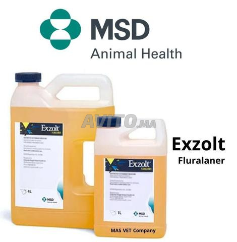 Exzolt إكزولت