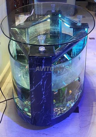Superbe Table Basse Aquarium - 2