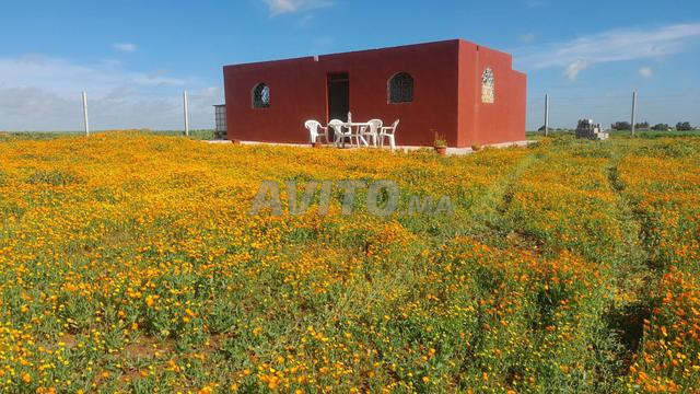 مزرعة مجهزة للبيع - 2
