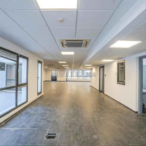 167418-Bureau à louer à 64000DH à Gauthier - 2
