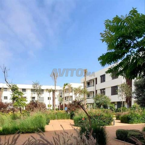 155289-Appt à louer à 15000DH à Ain Diab Extension