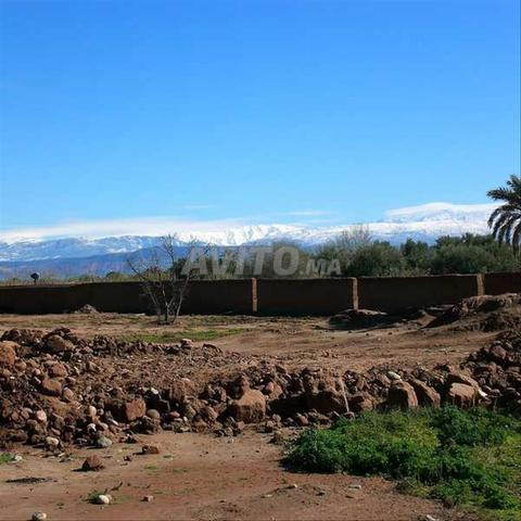 135356-بيع أرض في مراكش الشويطر بمساحة 50590