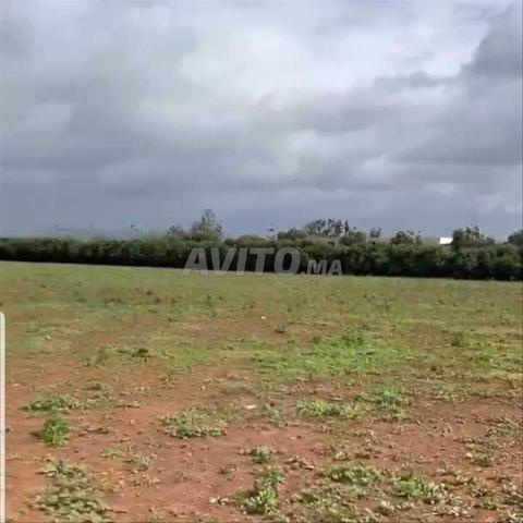89361-بيع أرض في النواصر صالح بمساحة 43450 متر مربع