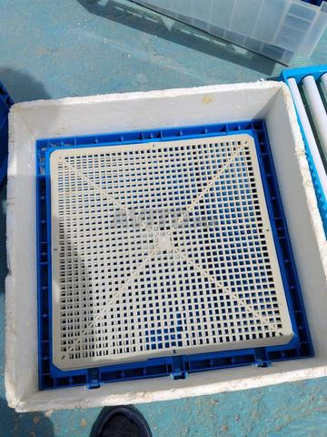 Incubateur 120 œufs - 2
