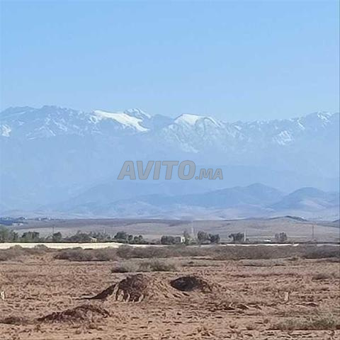 77094-بيع أرض في مراكش طريق أمزميز - 2