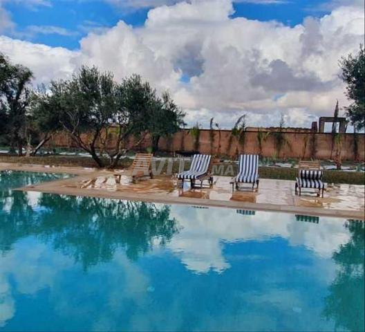 174605-Vente Villa à Marrakech Palmeraie de 11878 - 2