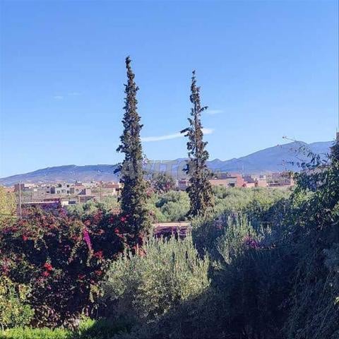 74557-بيع أرض في مراكش طريق تهاناوت - 2