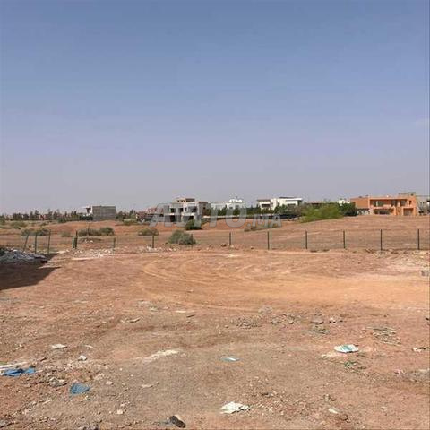 136096-بيع أرض في مراكش دوار الكرن - 2
