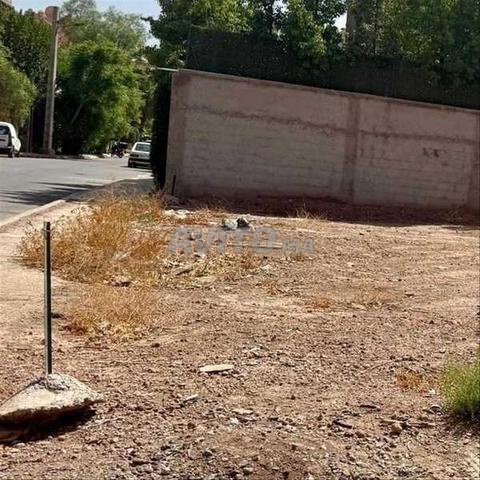 156647-Vente Terrain à Marrakech Hay Menara de 415