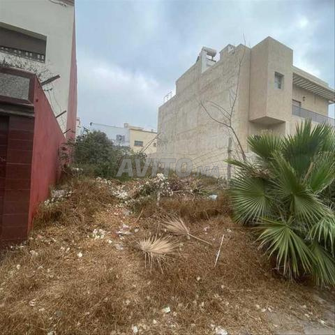 138065-Vente Terrain à Dar Bouazza Tamaris2 de 268 m²
