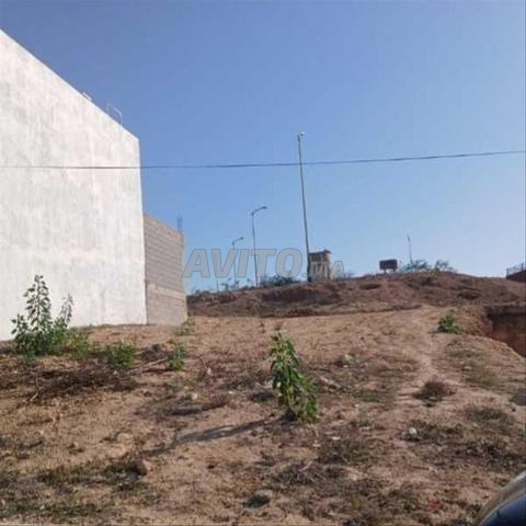 117546-Vente Terrain à Settat Douar Ouled Lhajja d