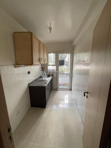 appartement oulfa - 2