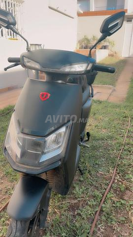 Moto Tailg - 2