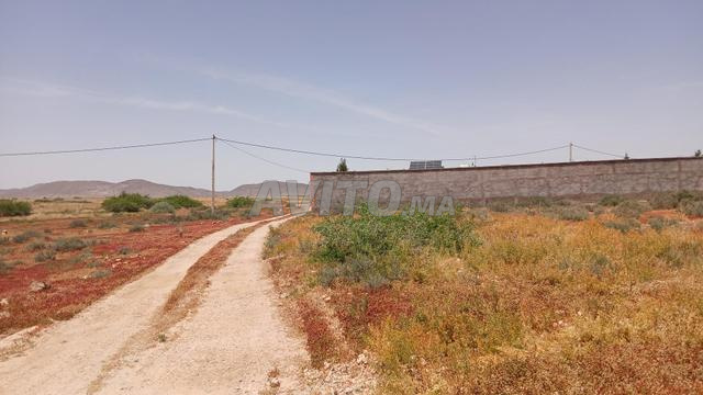 Terrain titré à vendre – 4000 m² - 2