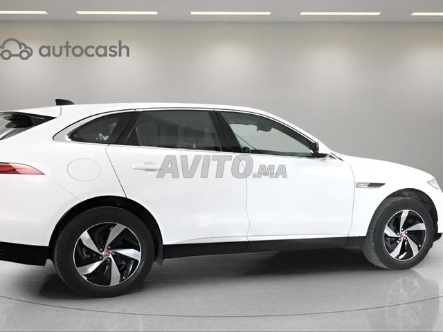1539 - جاكوار إف بيس 2023 مفحوصة مع تمويل - 2