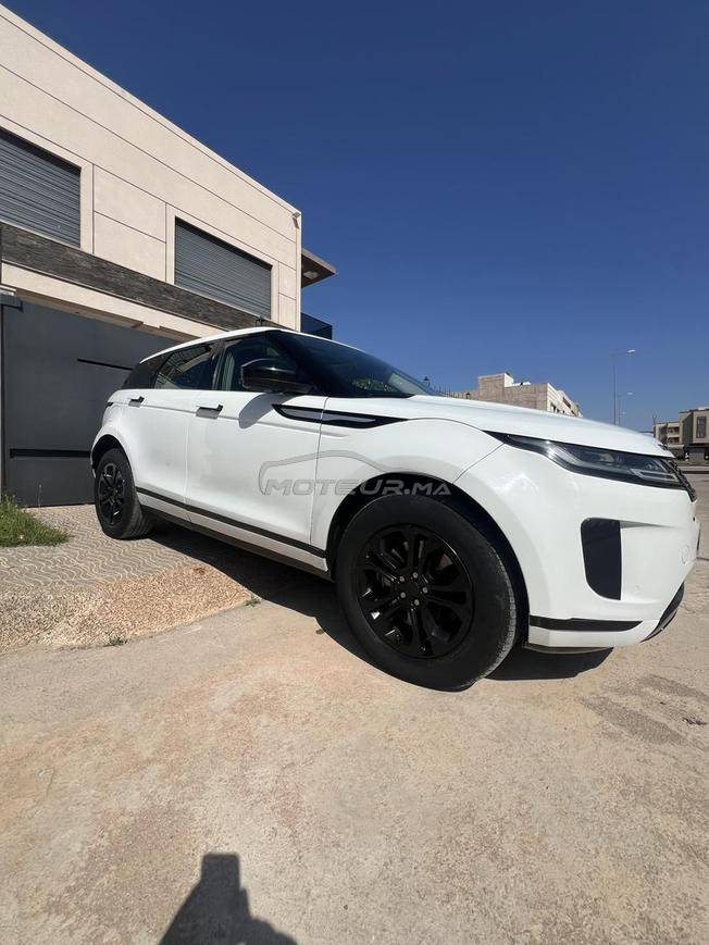 Range bb velar