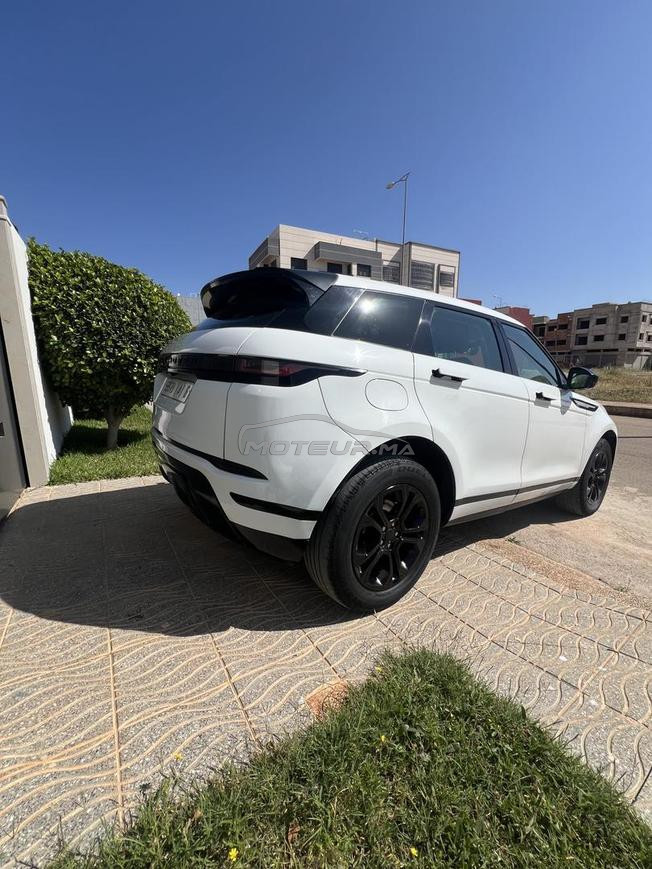 Range bb velar