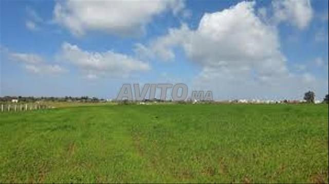 Terrains et fermes titrés région Tnine Chtouka