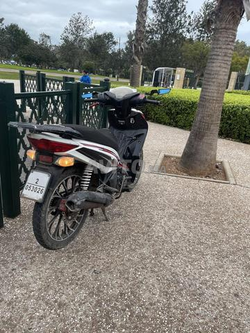 Moteur de travail, toujours propre, machine 110cc - 2
