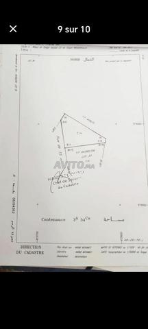 Terrain 354m2 Moujahidine Tanger - 2