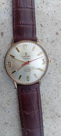 Cauny Royal.Barima - 2
