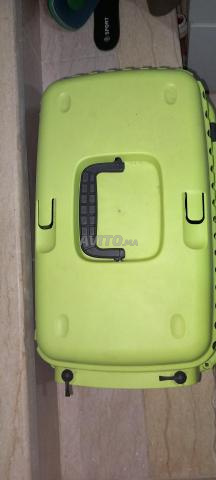cage de chat - 2