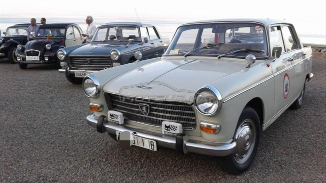 peugeot 404 collection