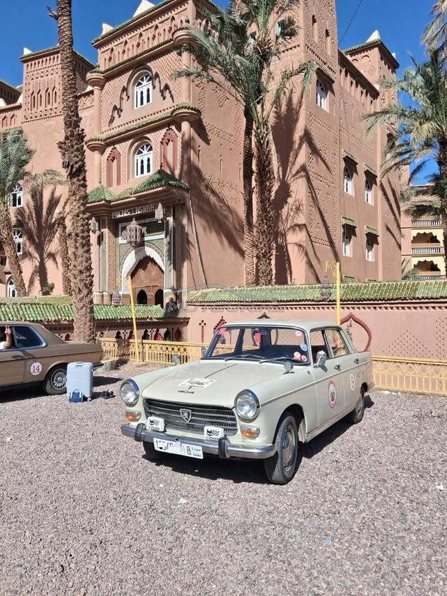 peugeot 404 collection