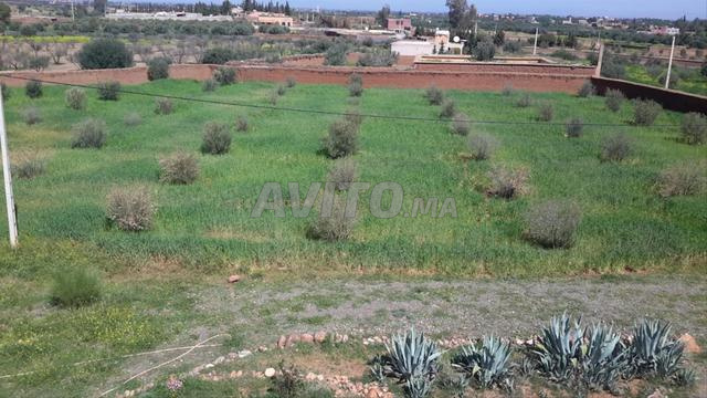 أرض مسجلة مع منزل بطريق أوريكا - 2