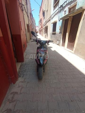 Jadida Maroc - 2