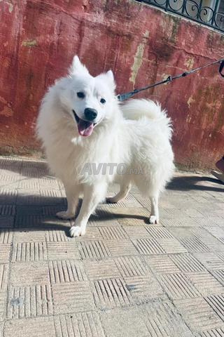 مكناس بساتين