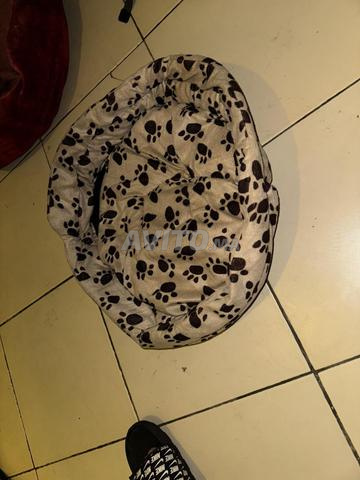 Pommade pour chat - 2