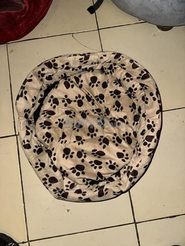 Pommade pour chat