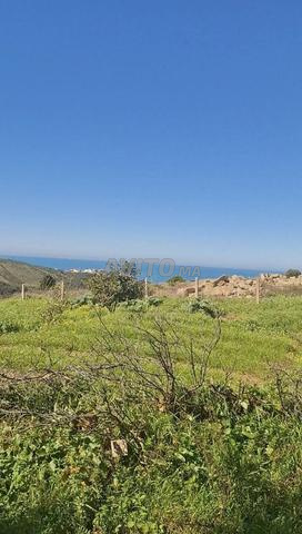 Terrain، 750m²، titré، vue mer، zone villa - 2
