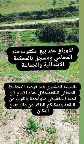 أرض للبيع بمساحة 1300 متر مربع - 2