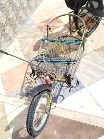 Ensemble vélo voyage remorque prêt à partir - 2