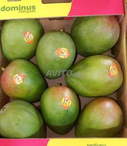 Mangue Kent - 2