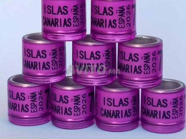 خواتم للحمام ISLAS CANARIAS 2026 - 2